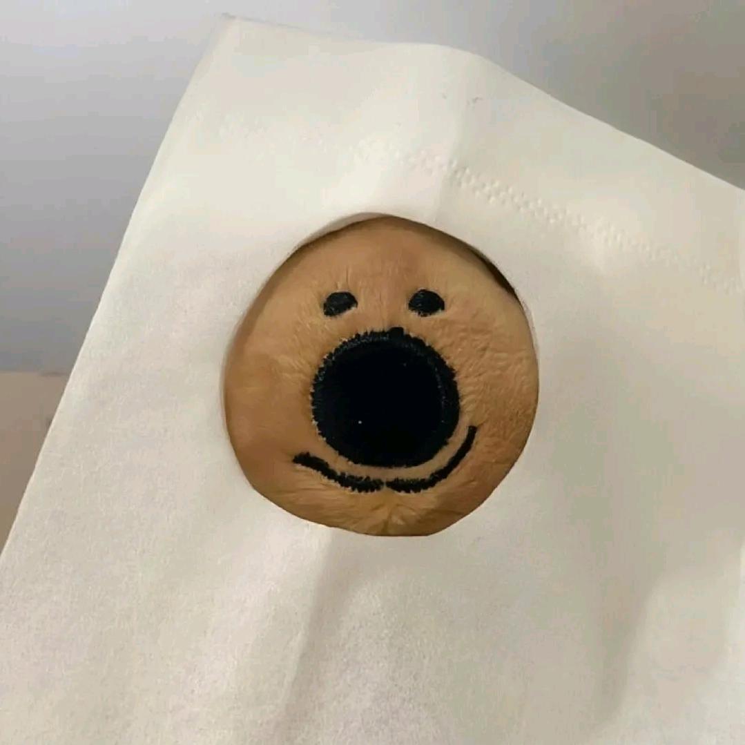 努力小王