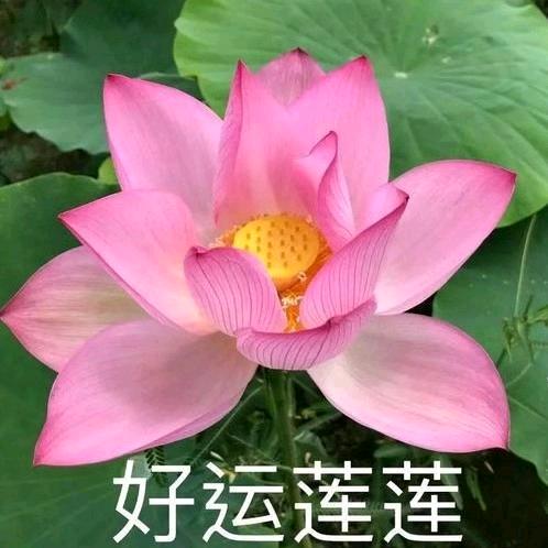 越来越好💅