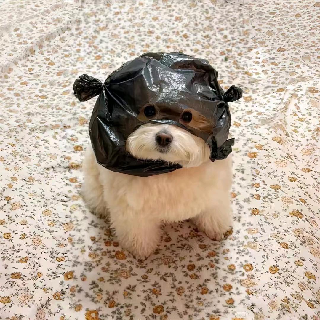 抢你一个亿