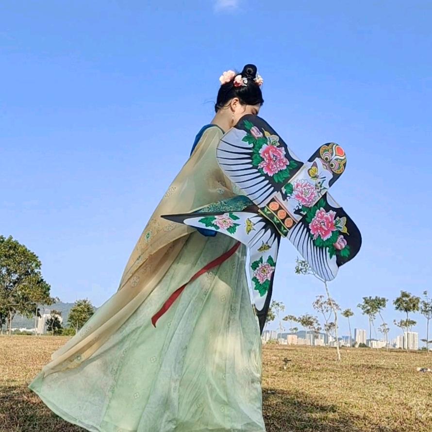 忙趁东风放纸鸢🪁