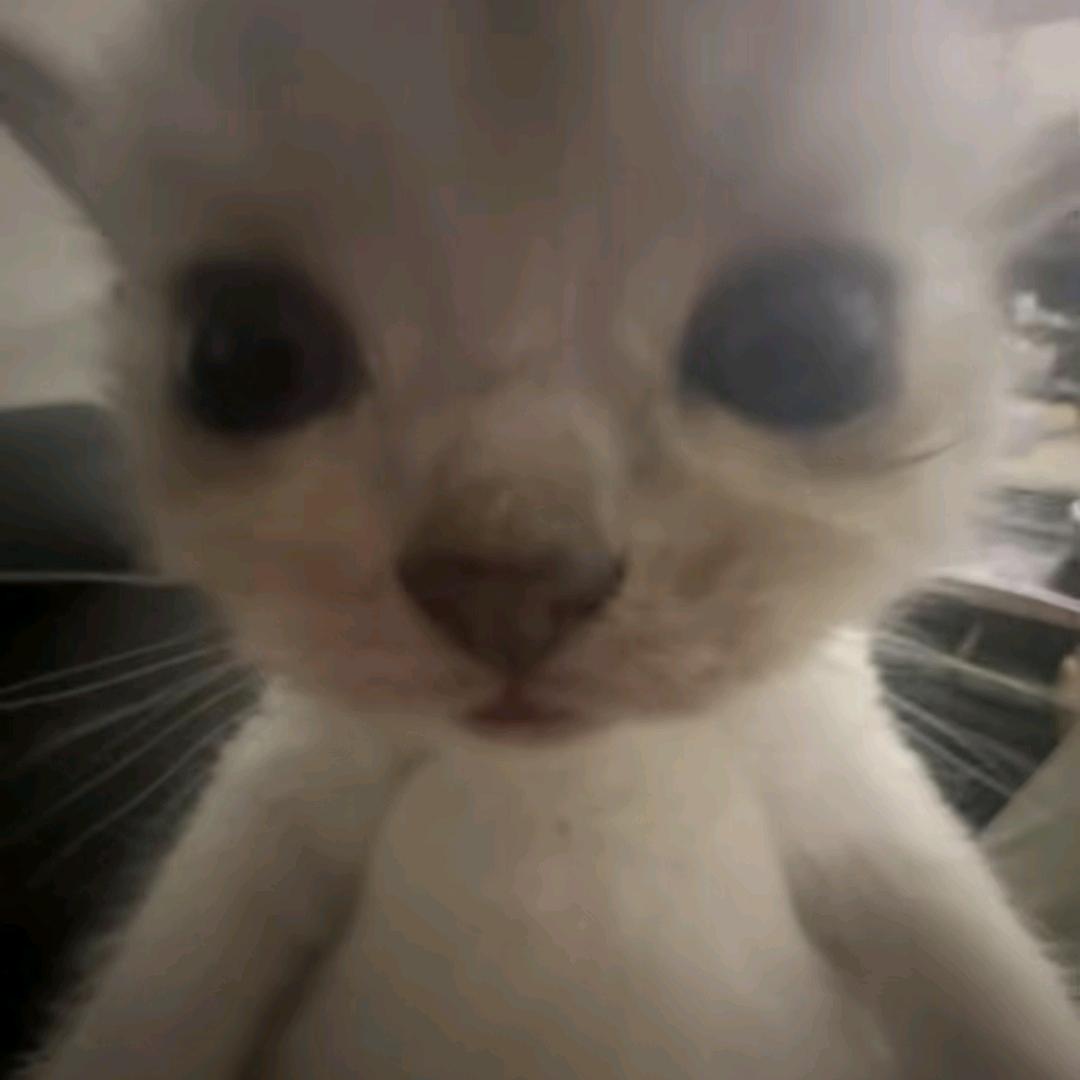 我水饺了