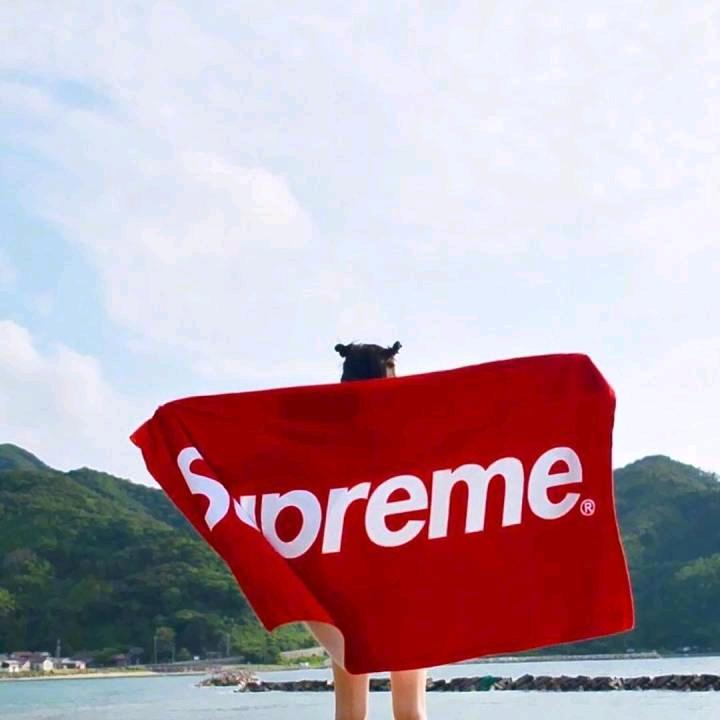 啦啦啦↣