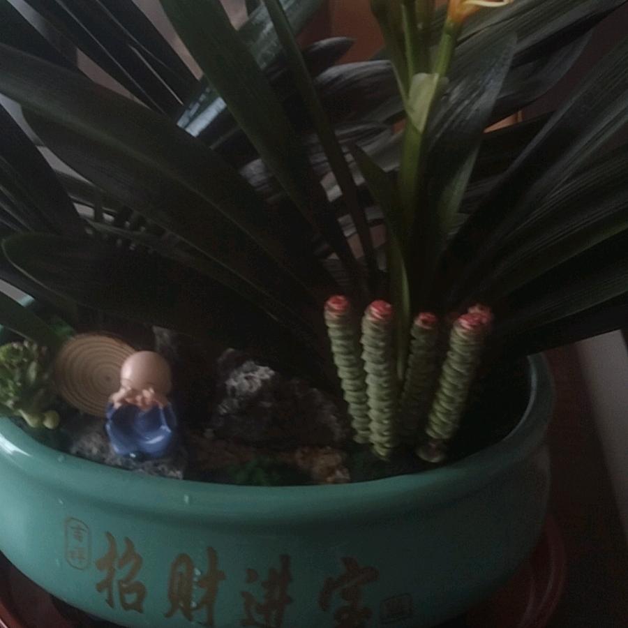 修二