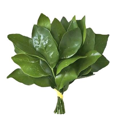 阿美🍀