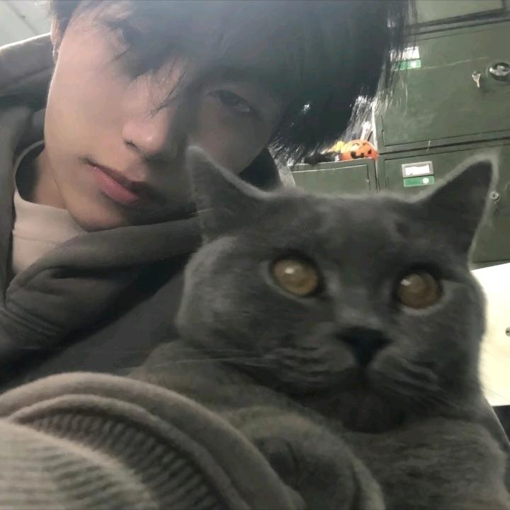 帅到你我很抱歉