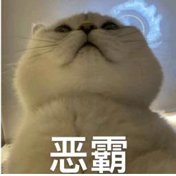 猪皮恶霸