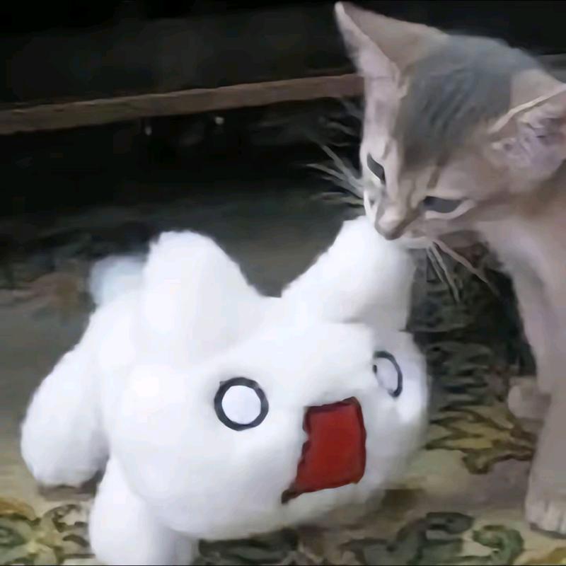 叶宵