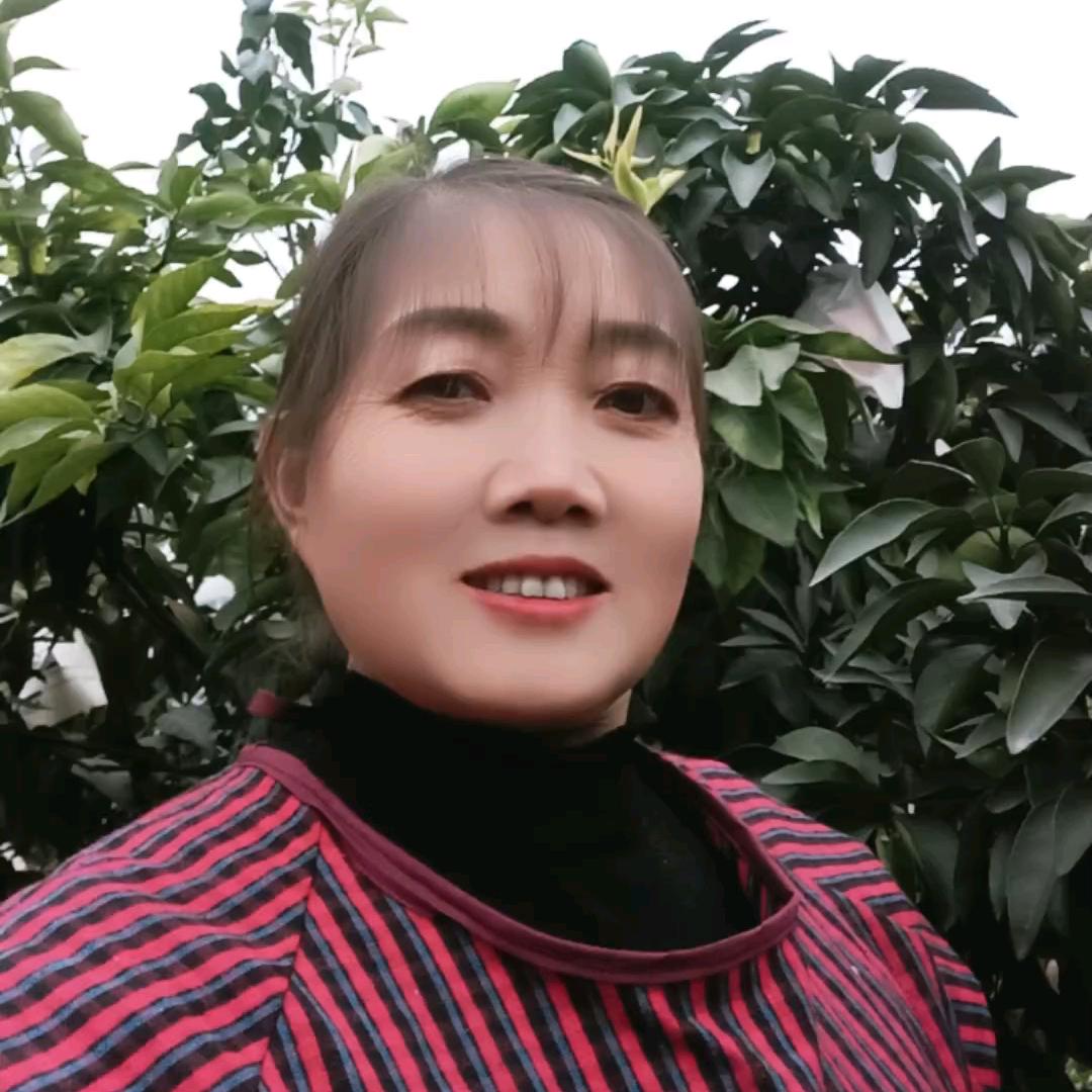 秀兰2