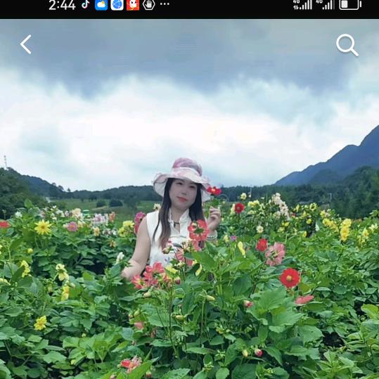 洋洋妹