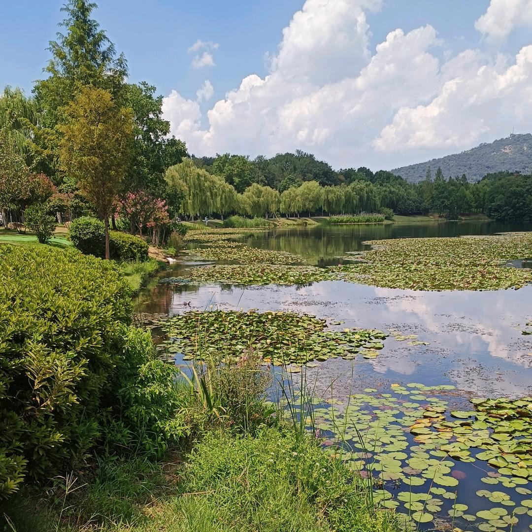 王一隆时来运转