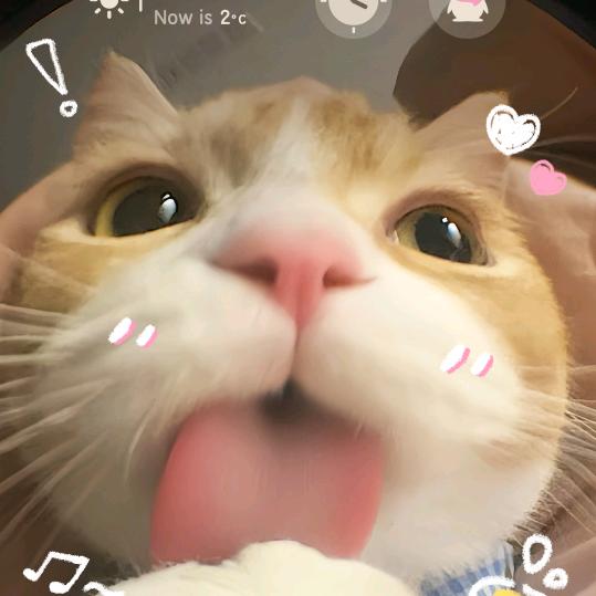 宝.宝