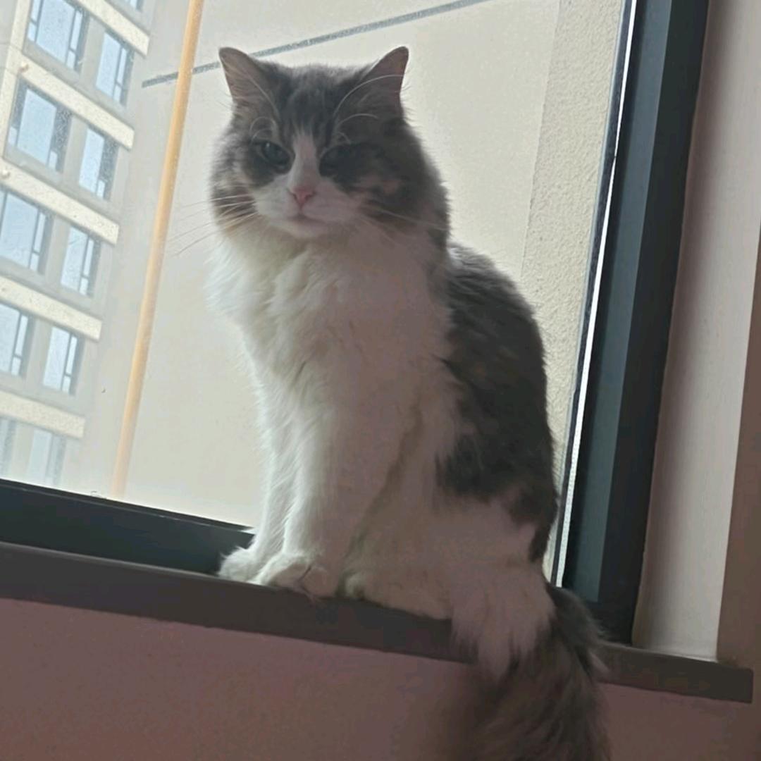 吸金体质