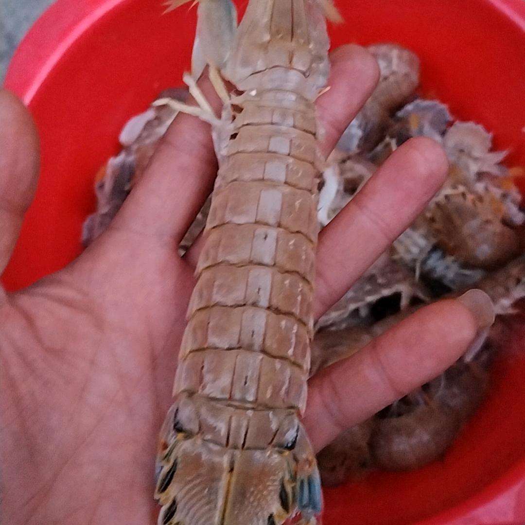 子非鱼☞商K