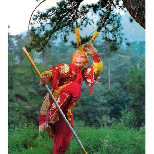 易终头像