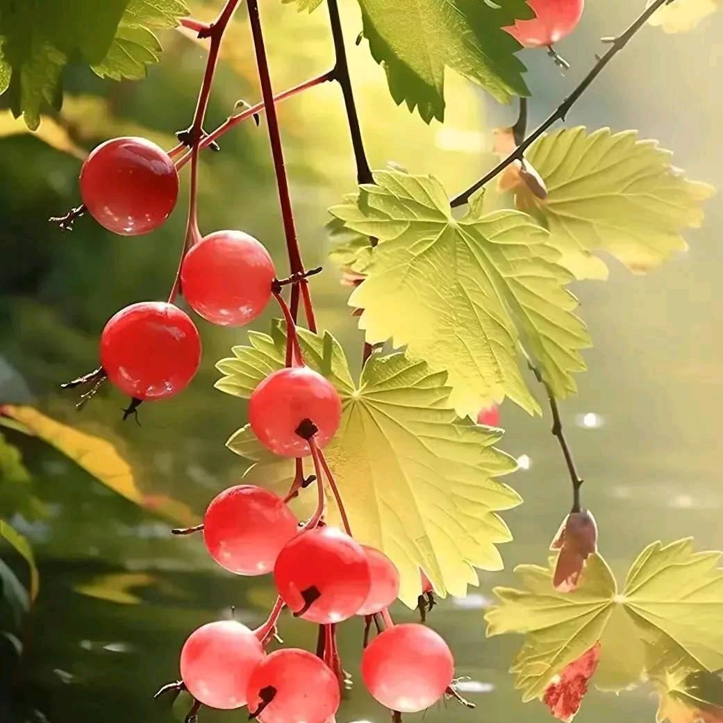 河南垠锭商贸有限公司