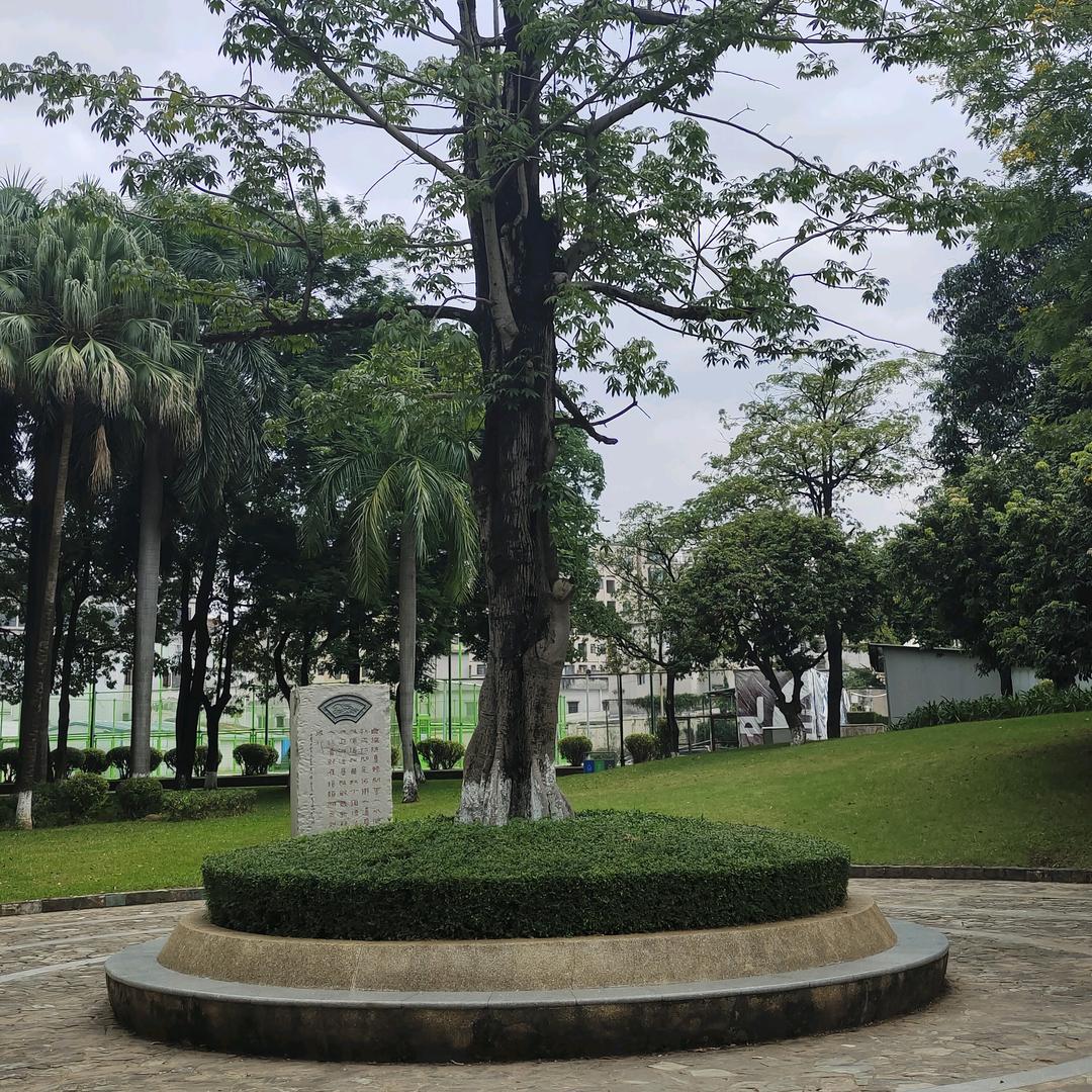 思语《女创》
