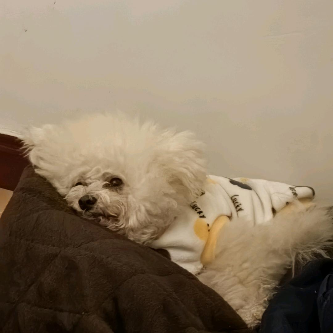 用户2670937999774