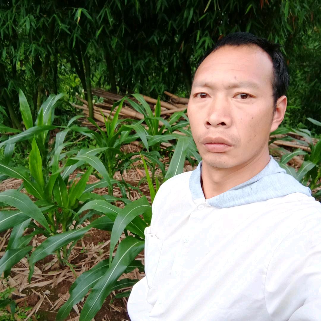 我的情哥哥