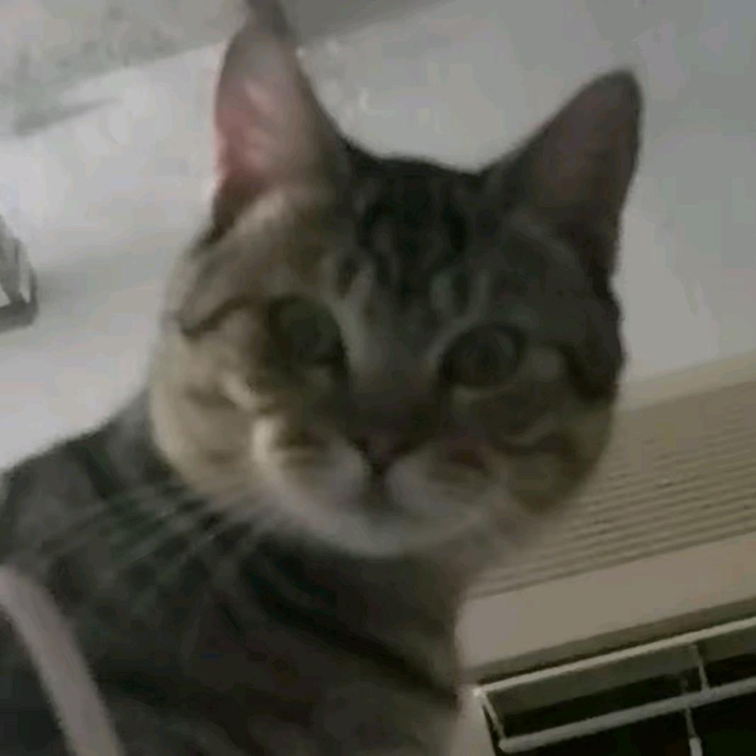 串