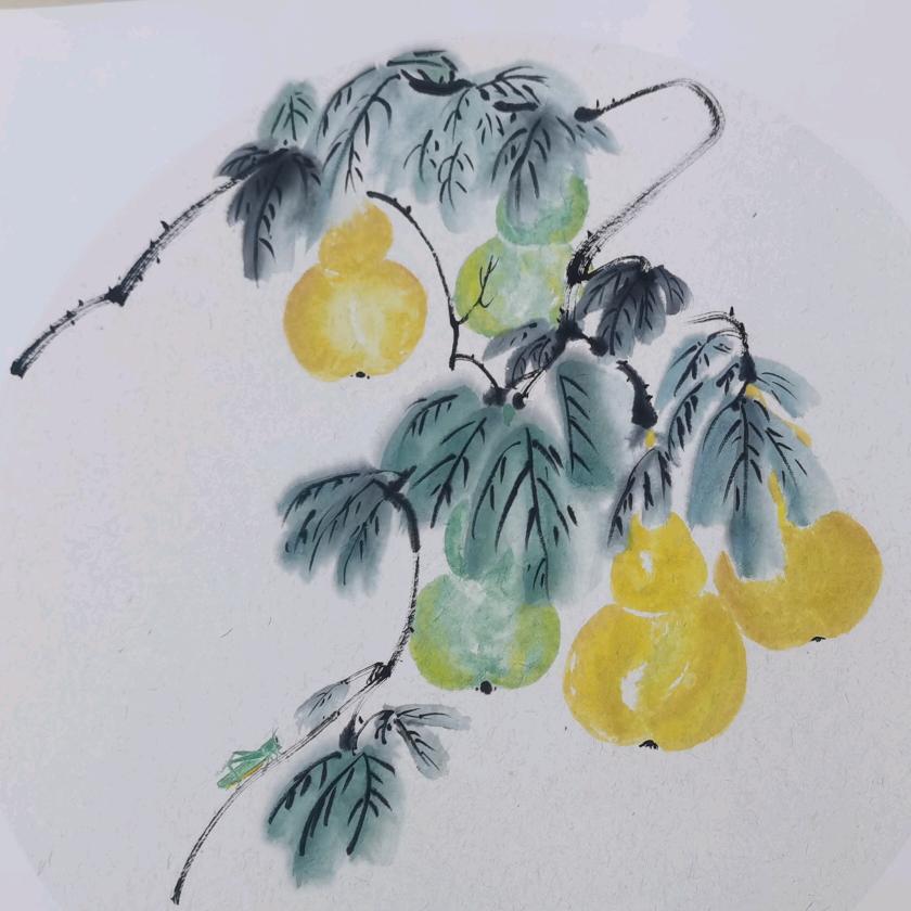 轻舟已过万重山🔥