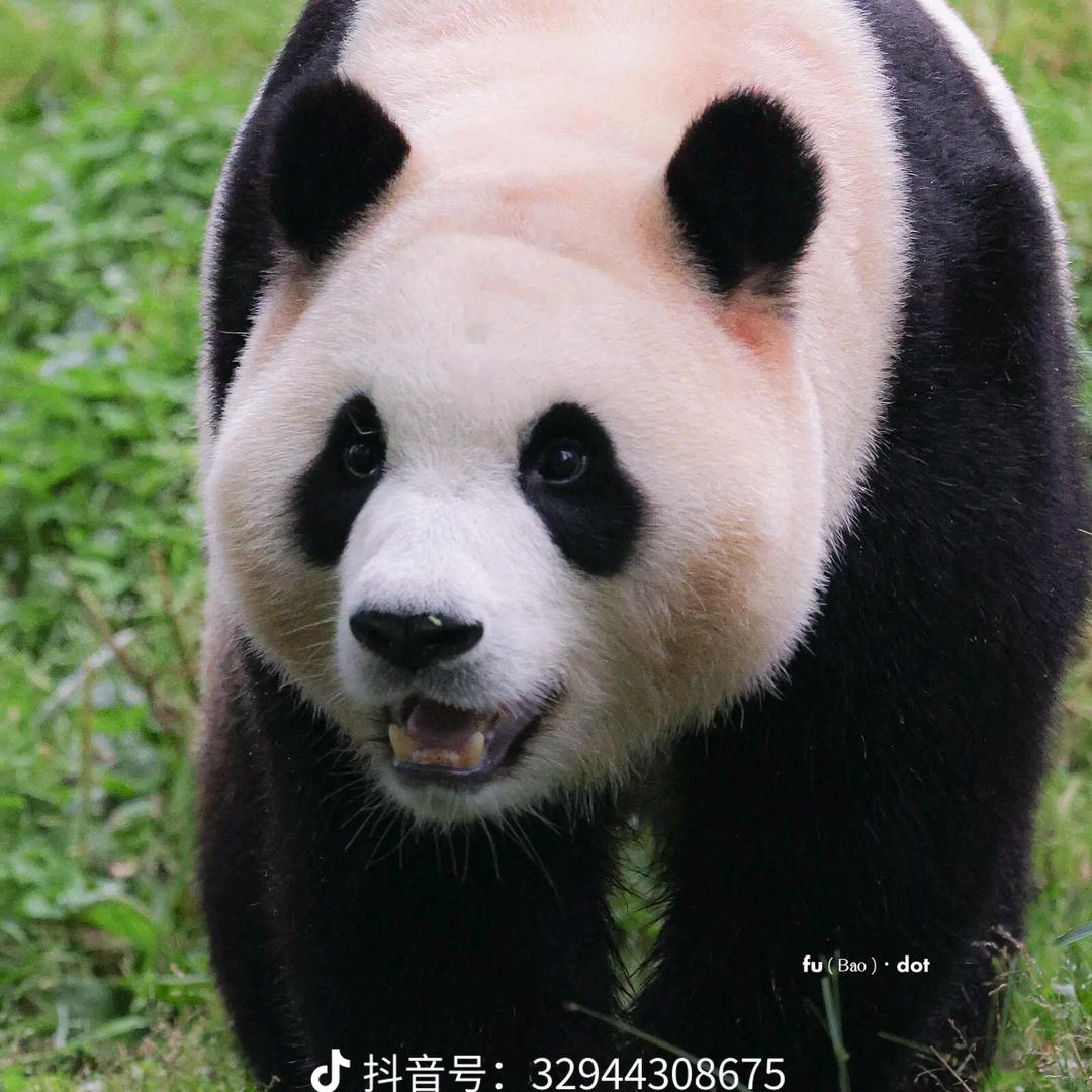开心的欣欣