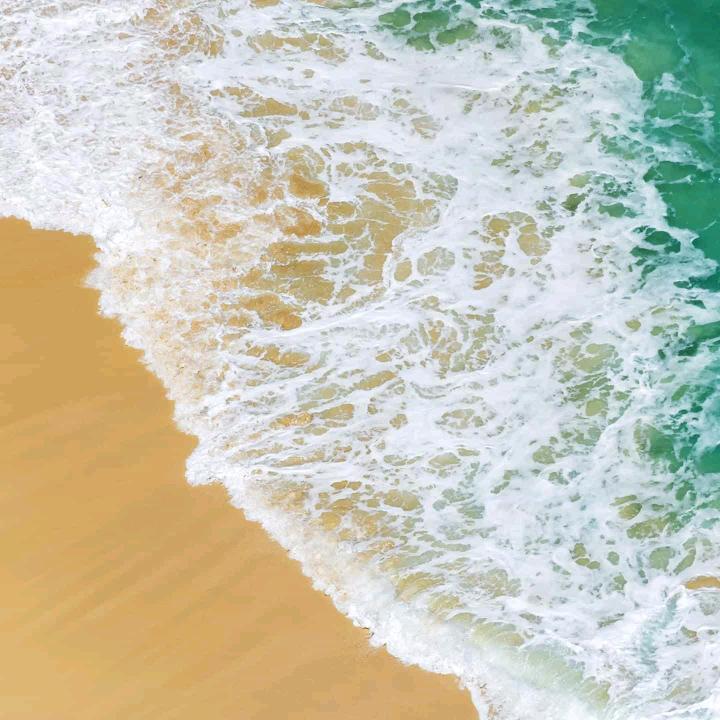 醒悟