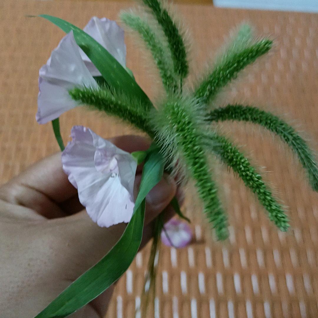 阳光