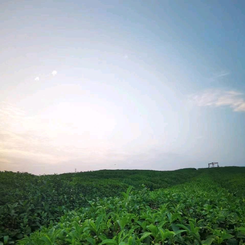 大约在冬季-