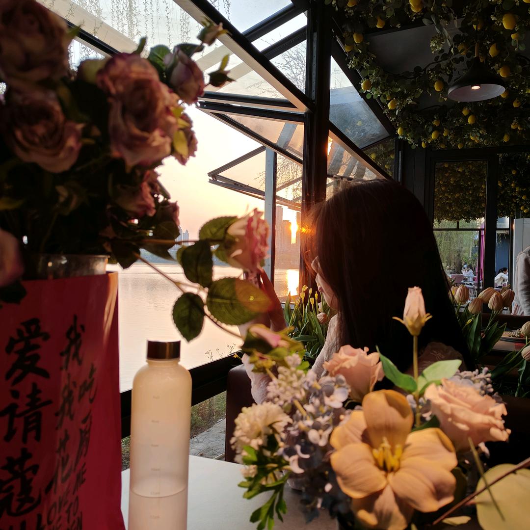 单招数学（每天6点开播）