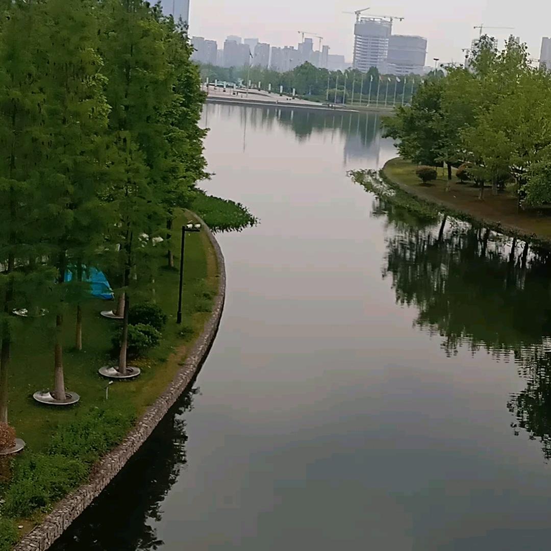 李艳李艳