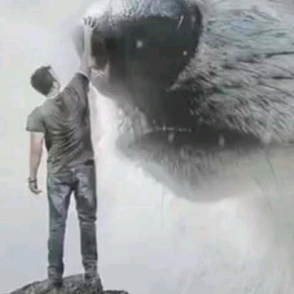 ㅤ                 .