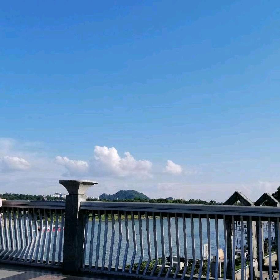 公主殿下請發財