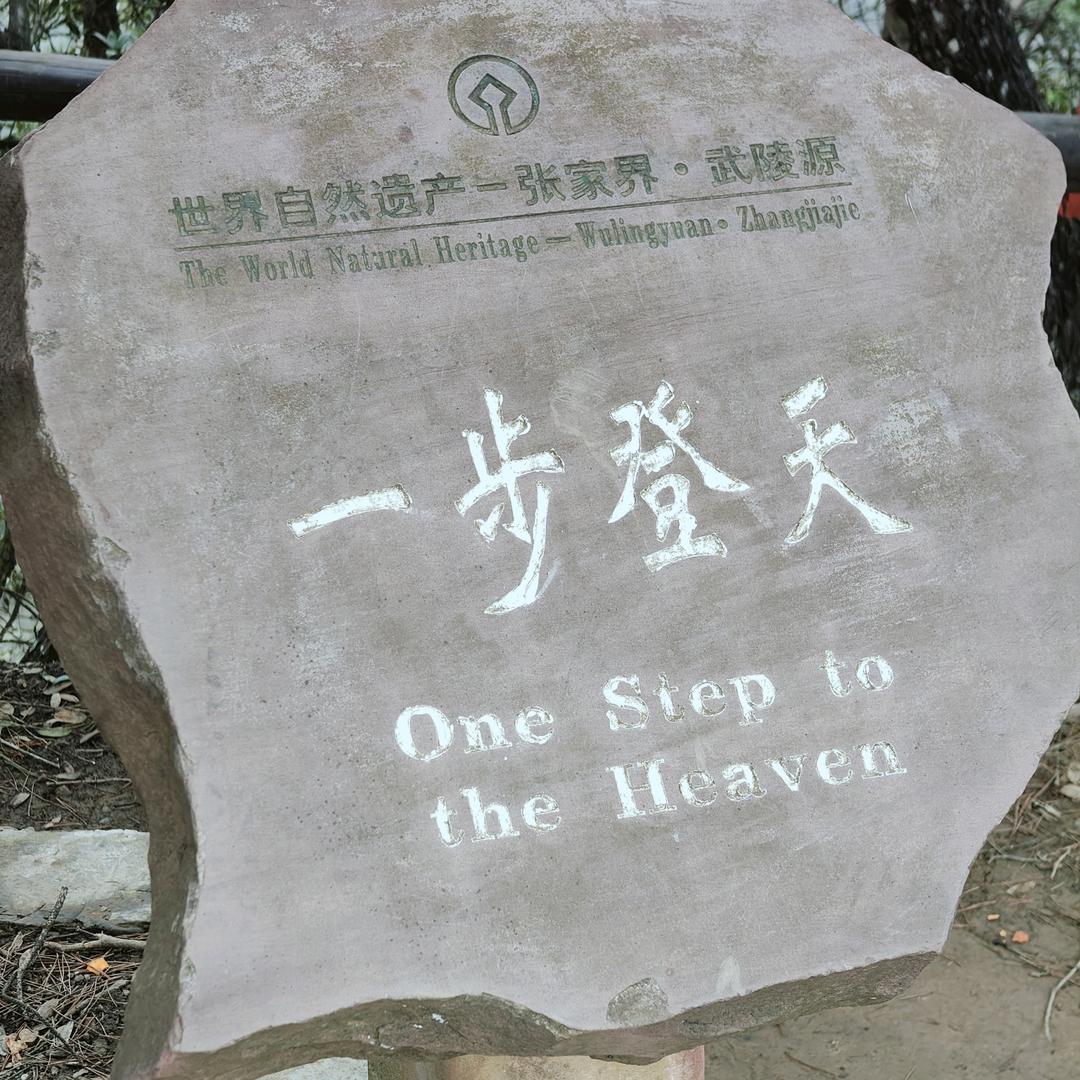 ⭐小浪漫⭐