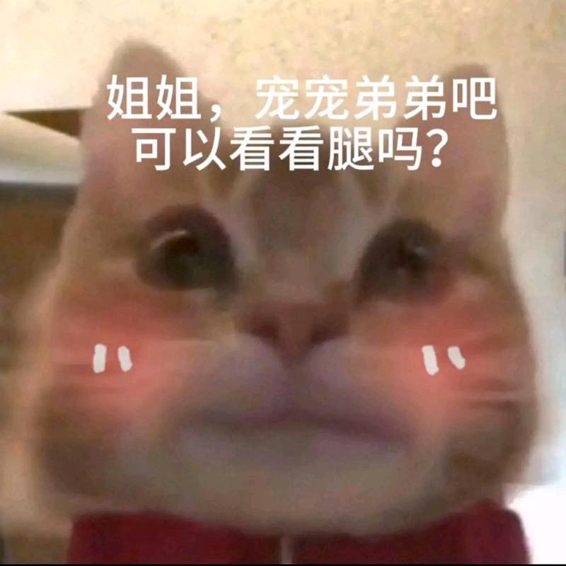 姐姐的萌爪鉴定师