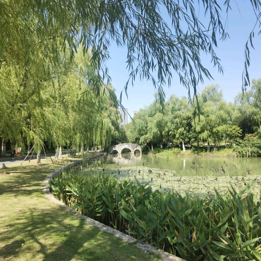 清，静。