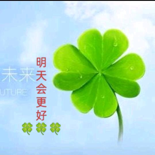 🍀🌺越来越好🍀🌺越来越好🌺🍀