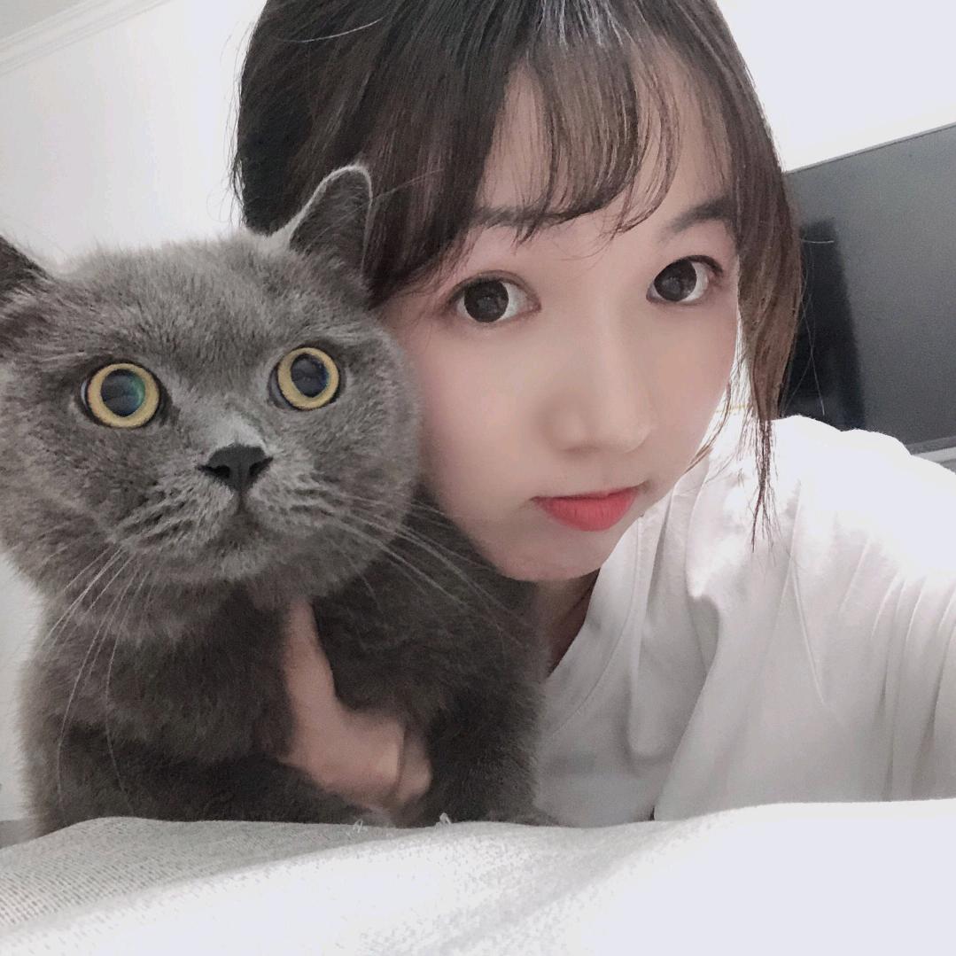 皮皮（桌面美化）重装系统