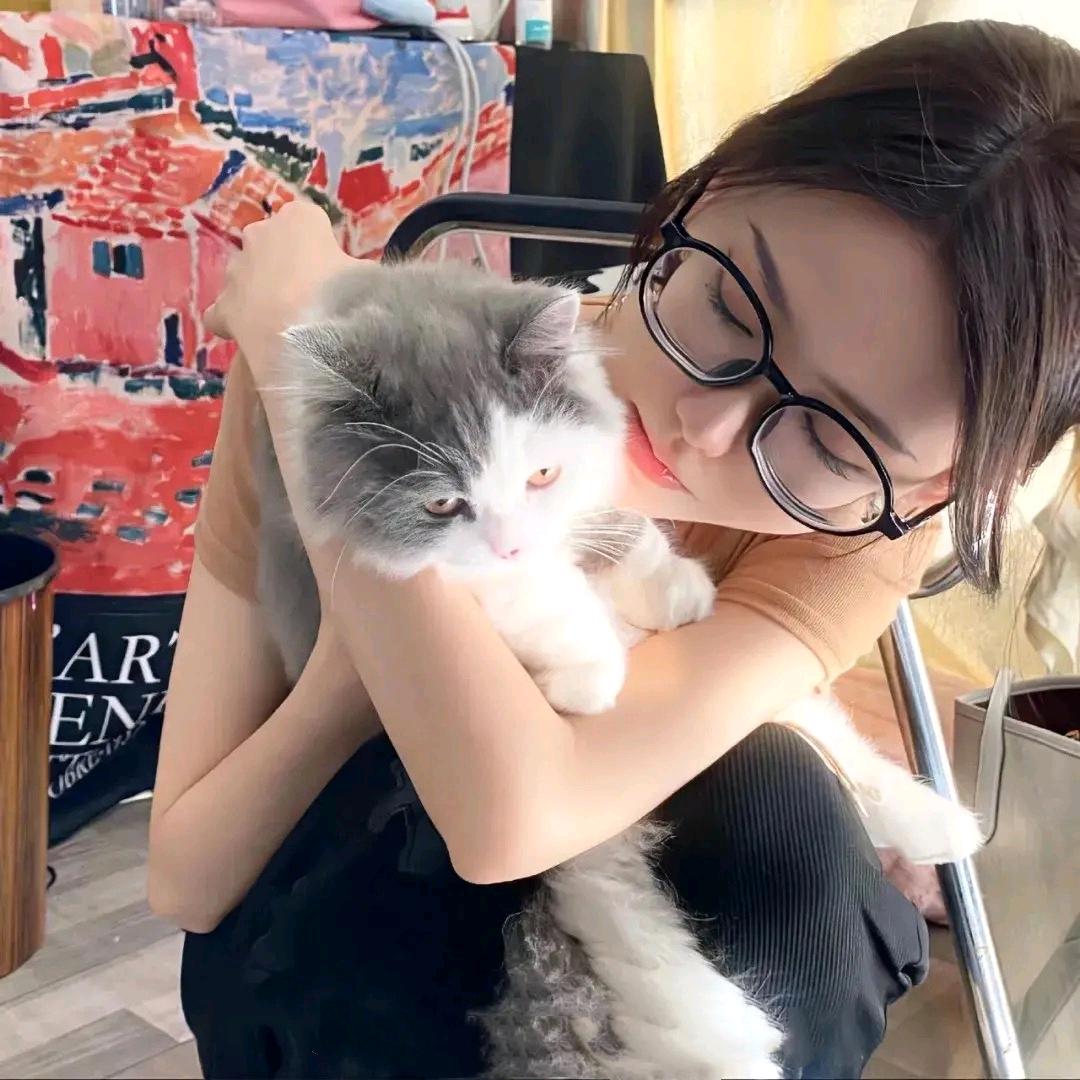 爱吃的加菲猫😘