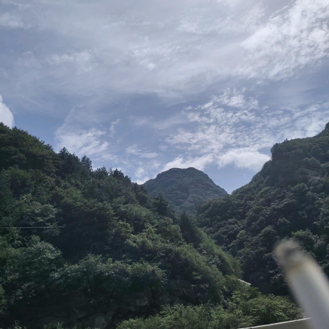 淡忘！各自安好！