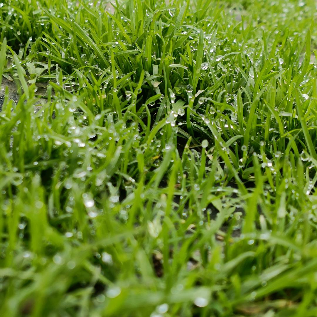 💞᭄ཽ࿆小 薪  ✨亿 亿꧔ꦿ᭄