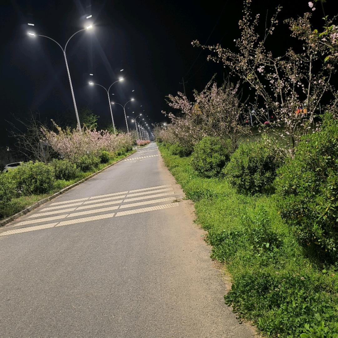 扯不断的是回忆