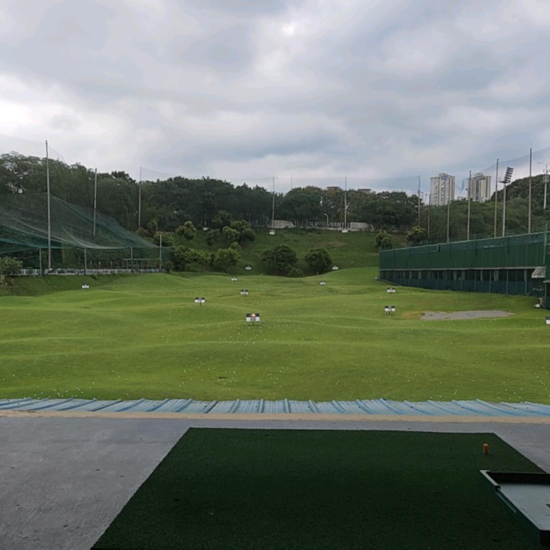 马同学(想学golf版）