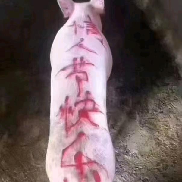 喝酒不蒙也不醉1255158354