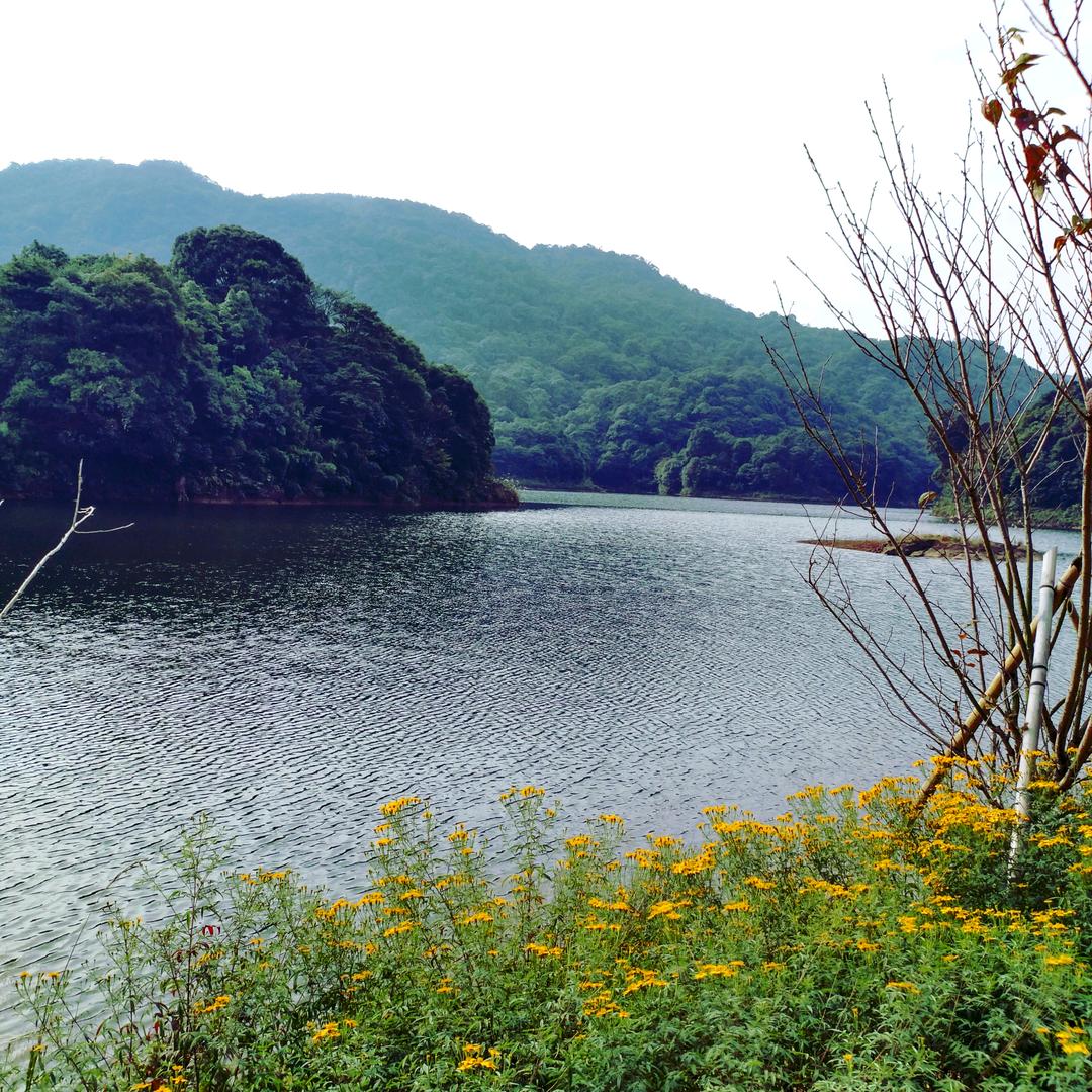 汪洋中的一条破船