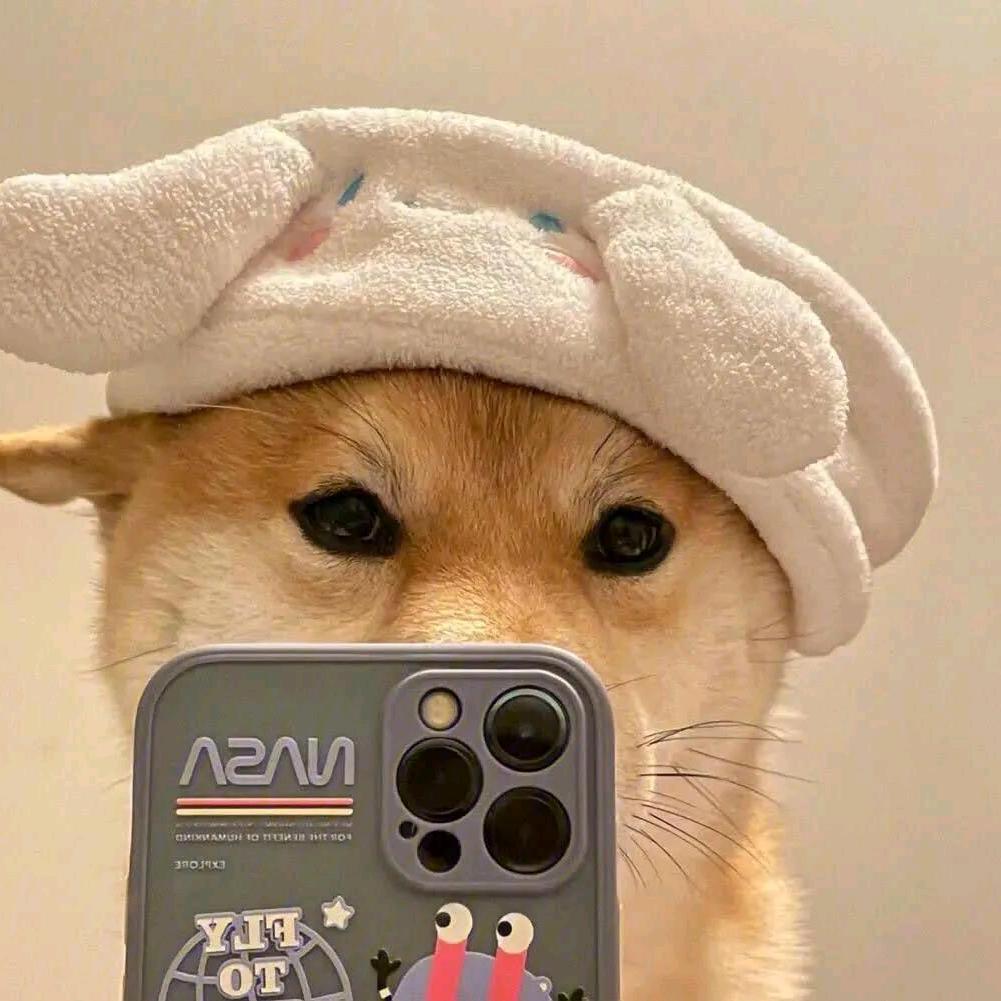 哈基米