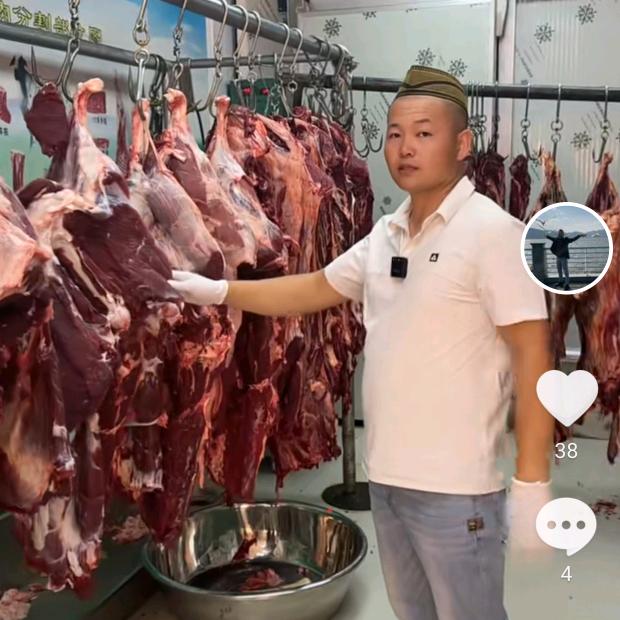 新疆马西有草膘牛羊肉批发