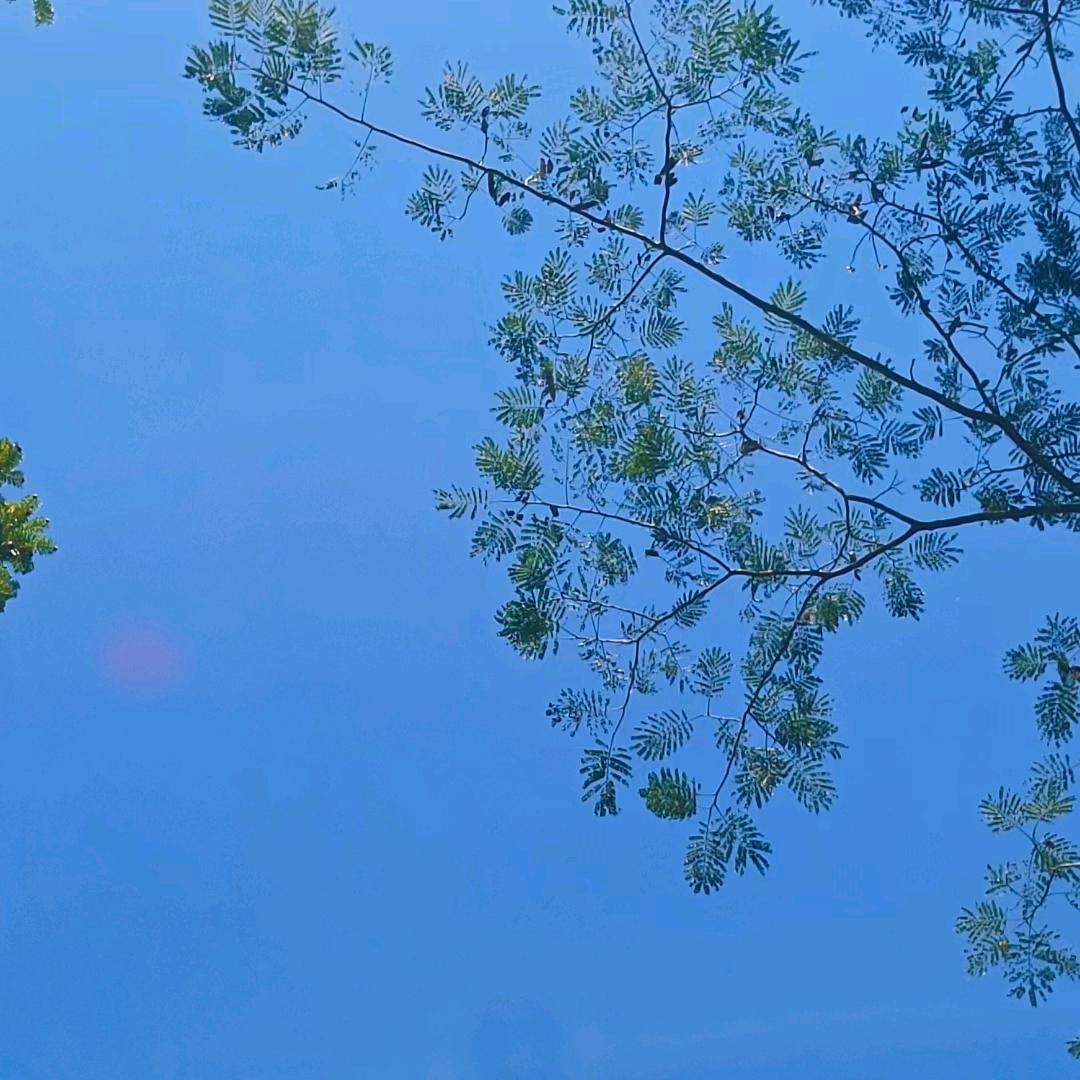 暖若安阳