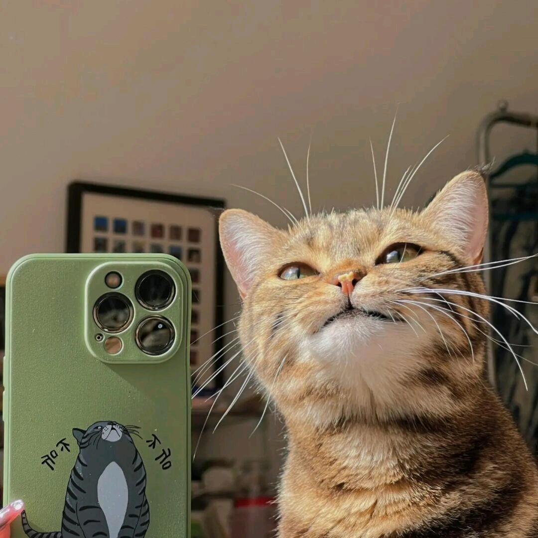 🔍 爱分享小帅🔍