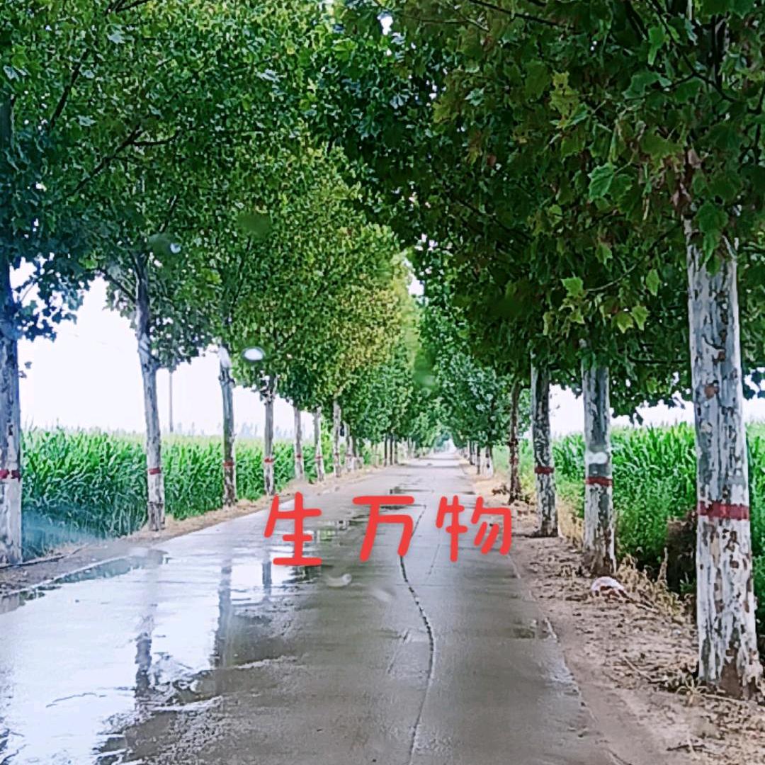 岁月如水