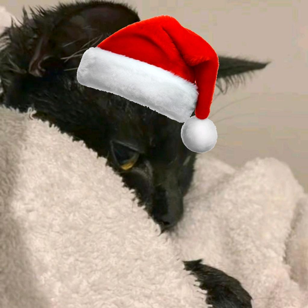 苦逼的讨口子六十八岁更年期汗脚大叔